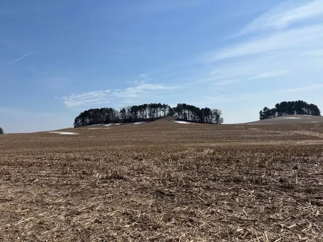 XXX Halama Road, Independence, WI 54747 - #3