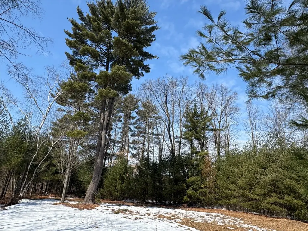 OOO Lake Rd, Clintonville, WI 54929 - #1