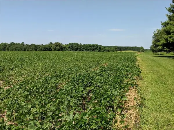40 acres County Rd B West, Glen Flora, WI 52526