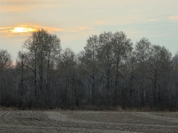 1563 N Helena Drive, Holcombe, WI 54731