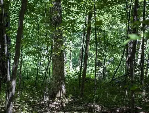 N 2723 Hwy 253, Sarona, WI 54870 - #2