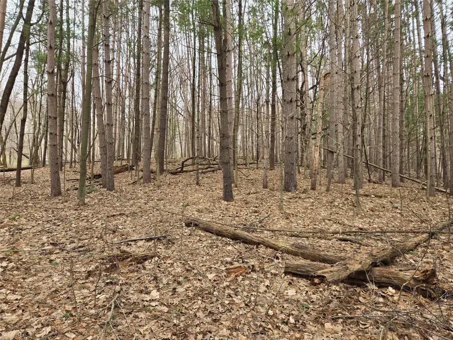 Lot 3 732nd Avenue, Menomonie, WI 54751 - #3