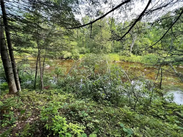 W8804 Timber Trail E, Ladysmith, WI 54848