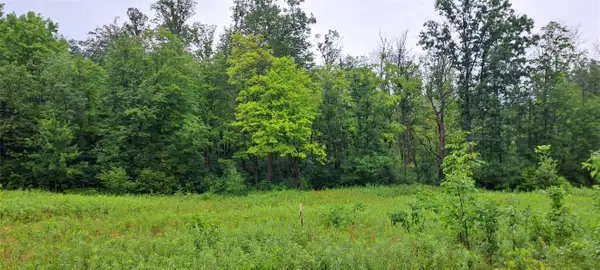Lot 3 Musky Point Drive, Stone Lake, WI 54876