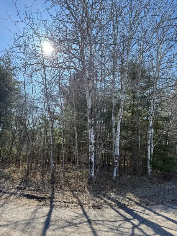 1.06 Acre On 297th Avenue, Holcombe, WI 54745