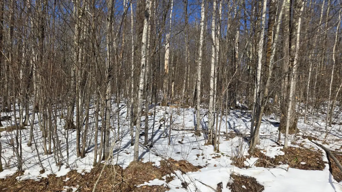 Lot 90 Silver Birch Drive, Cable, WI 54821 - #1