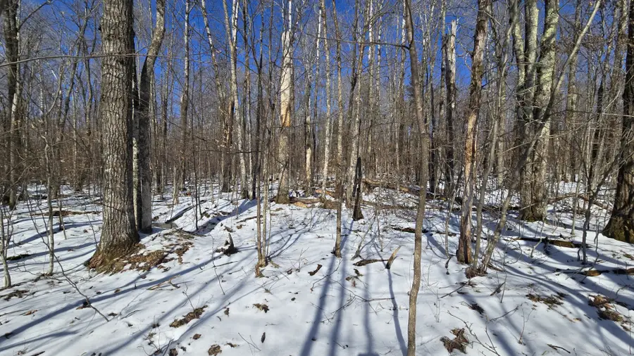 Lot 90 Silver Birch Drive, Cable, WI 54821 - #2