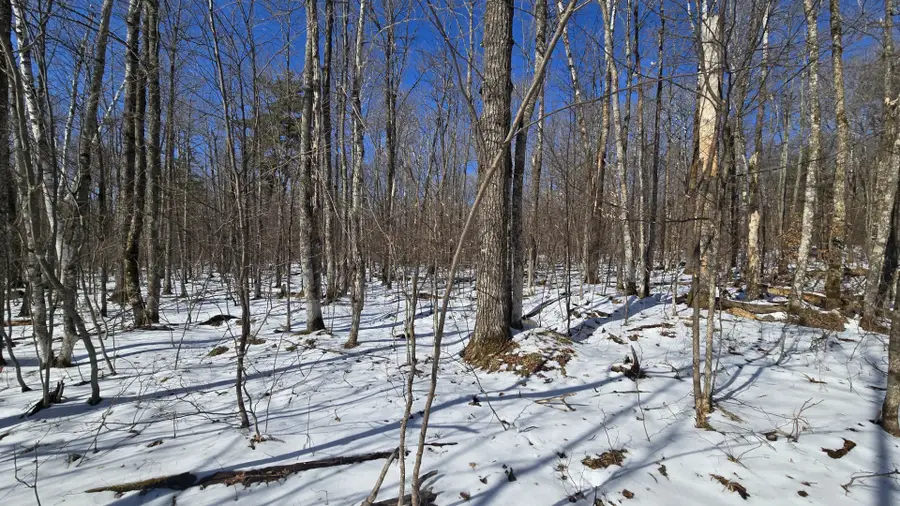 Lot 90 Silver Birch Drive, Cable, WI 54821 - #3