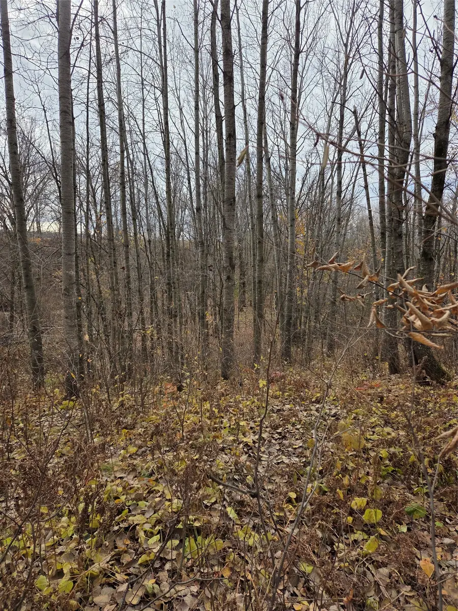 On Hwy 48, Rice Lake, WI 54868 - #3