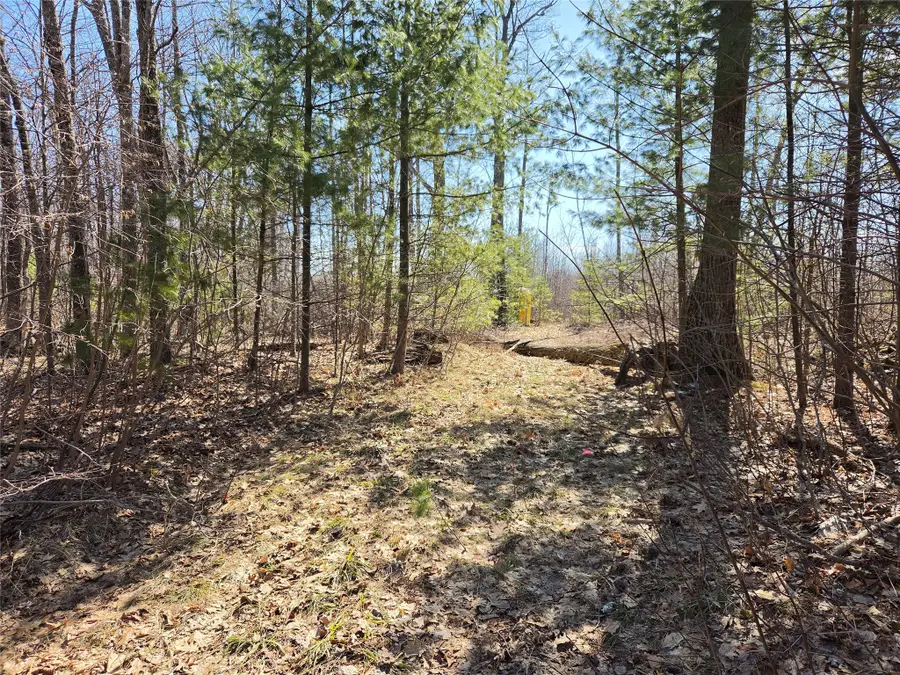 Lot 1 W South Shore Rd, Hayward, WI 54843 - #3