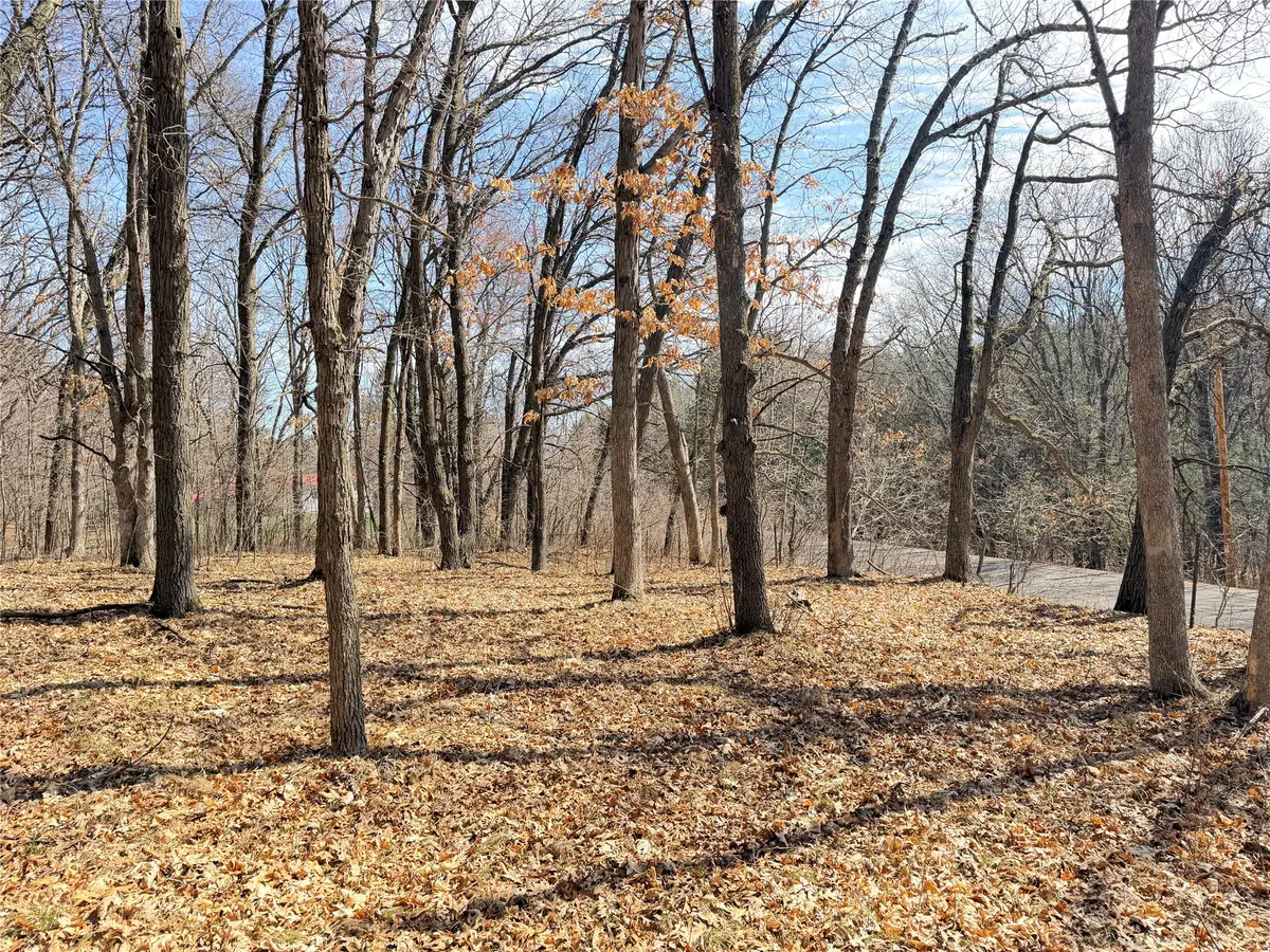 Lot 6 Big Lake Drive, Osceola, WI 54020 - #1