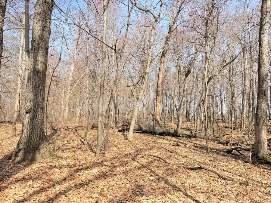 Lot 6 Big Lake Drive, Osceola, WI 54020 - #2