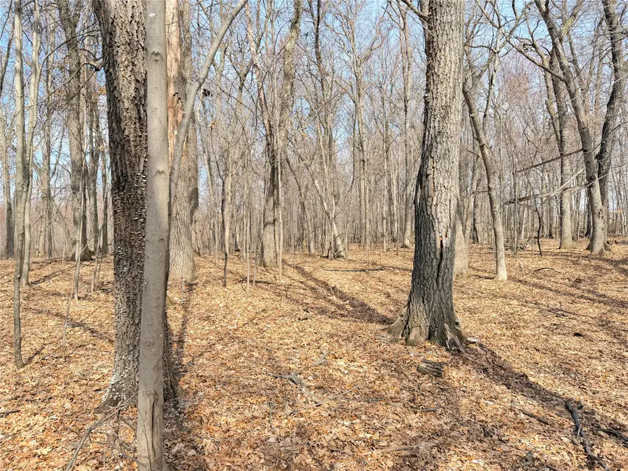 Lot 6 Big Lake Drive, Osceola, WI 54020 - #3