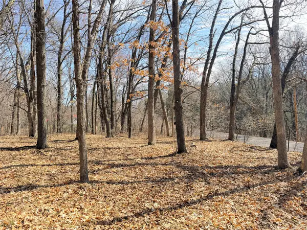 Lot 7 Big Lake Drive, Osceola, WI 54020