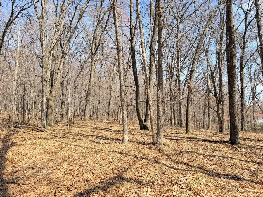 Lot 7 Big Lake Drive, Osceola, WI 54020 - #2