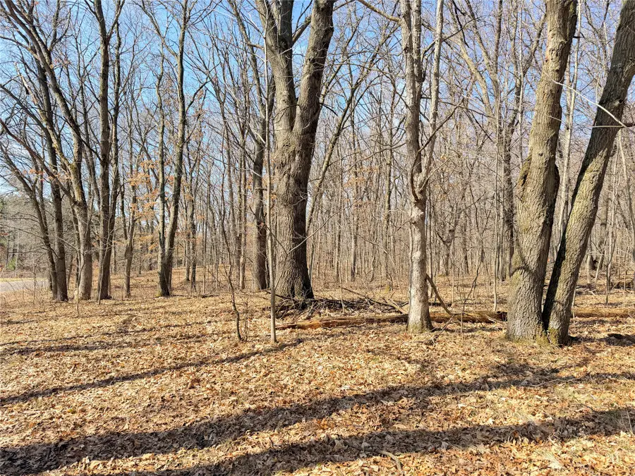 Lot 7 Big Lake Drive, Osceola, WI 54020 - #3