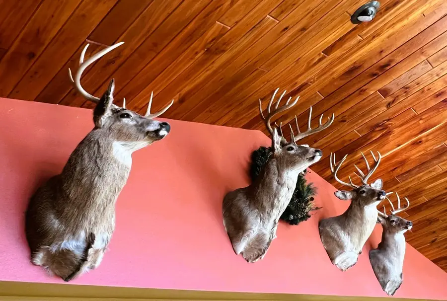 000 Pete Coulee Road, Taylor, WI 54659 - #3