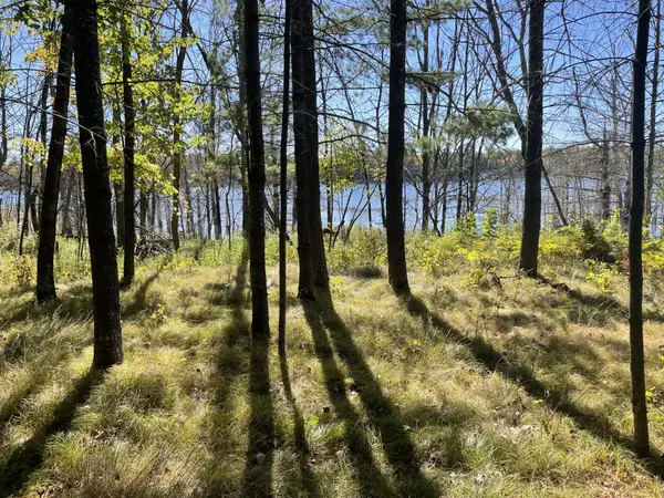 10385 Whispering Pine Road, Drummond, WI 54832