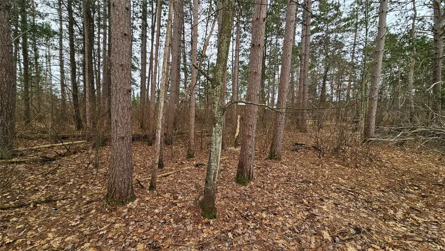Lot 2 Jenny Lane, Hayward, WI 54843 - #3