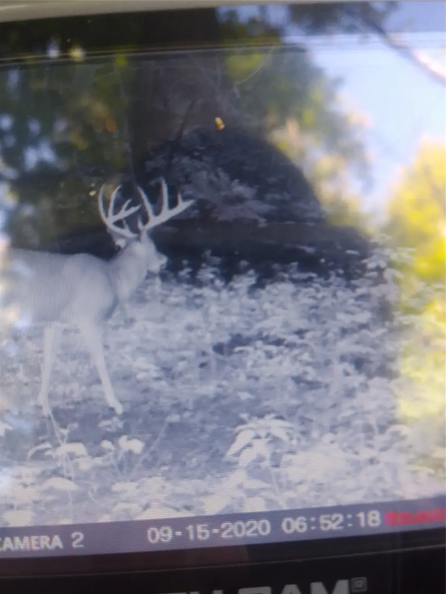 2339 150th 150th Street, Luck, WI 54853 - #3