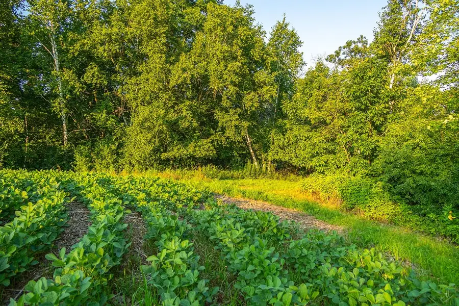 0 County Road S, Blair, WI 54616 - #2