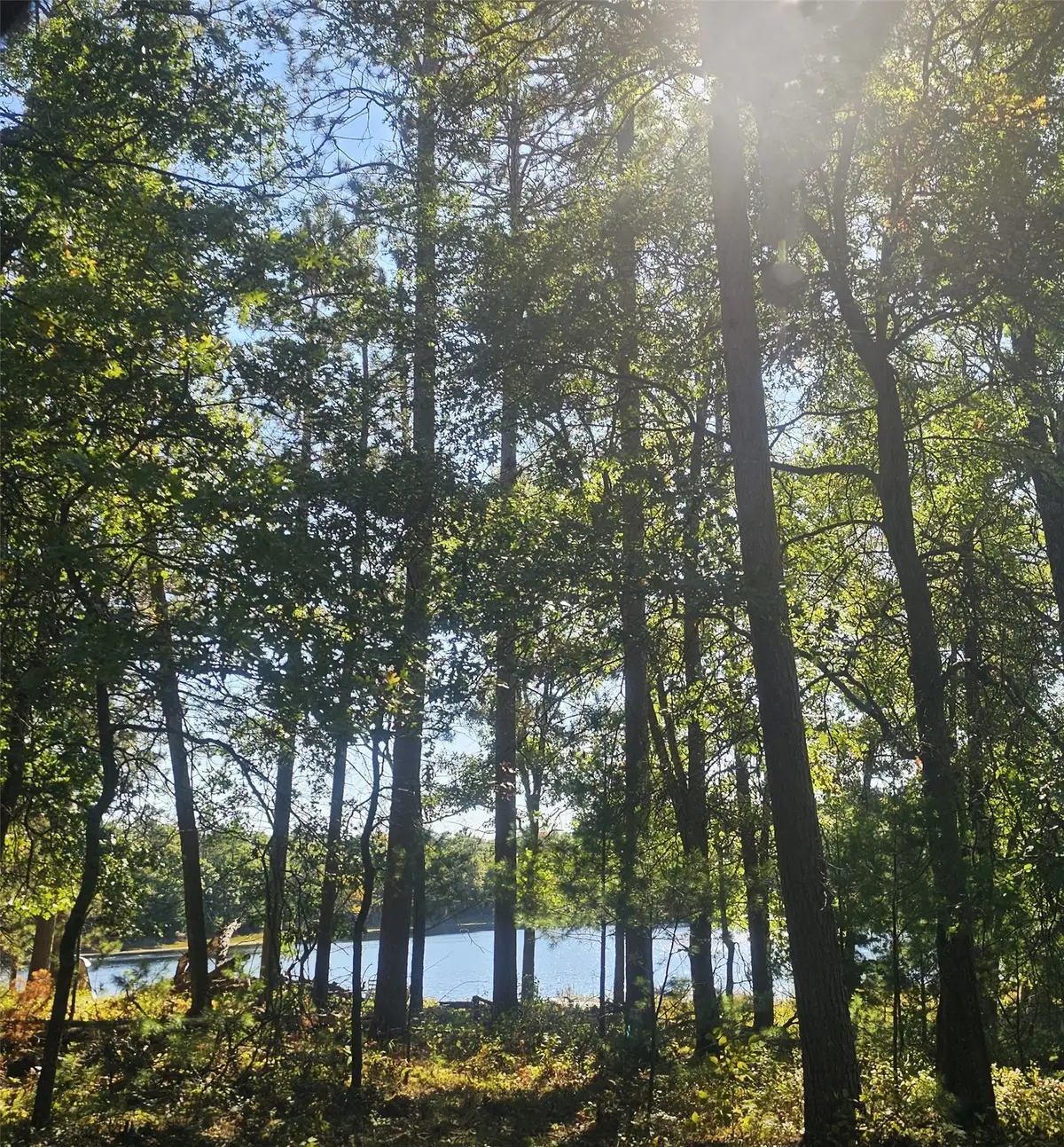 xxx County Road H Road, Danbury, WI 54830 - #1