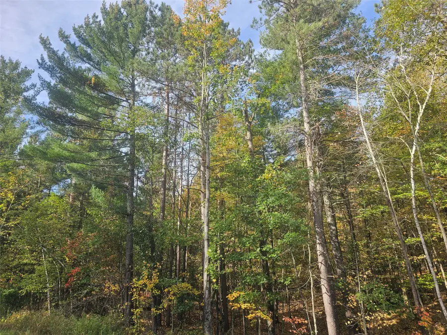 xxx County Road H Road, Danbury, WI 54830 - #3
