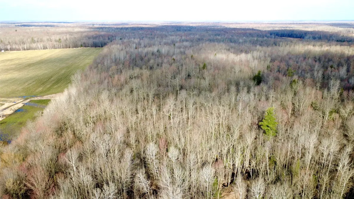 N2615 State Highway 73, Sheldon, WI 54766 - #1