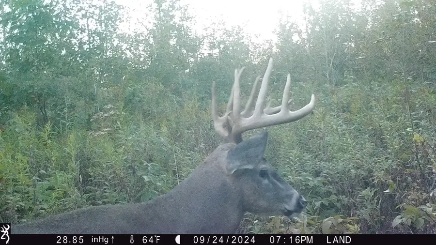 Lot 4 160th Avenue, Turtle Lake, WI 54889 - #2