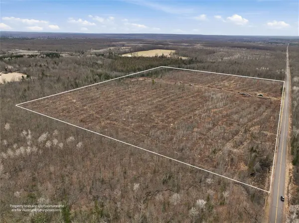 51.54 Acres Along County Road Cc, Couderay, WI 54828