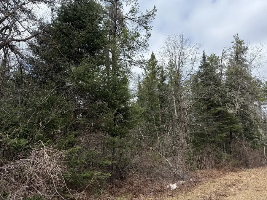 Lot 30 Maple Court, Cable, WI 54821 - #2