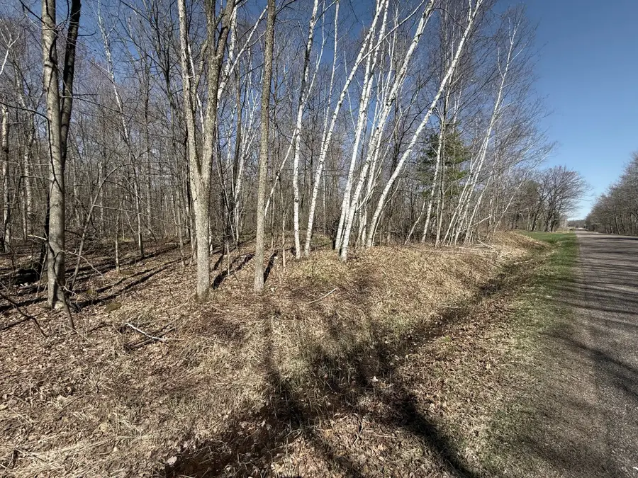 Lot 3 175th, Jim Falls, WI 54748 - #2