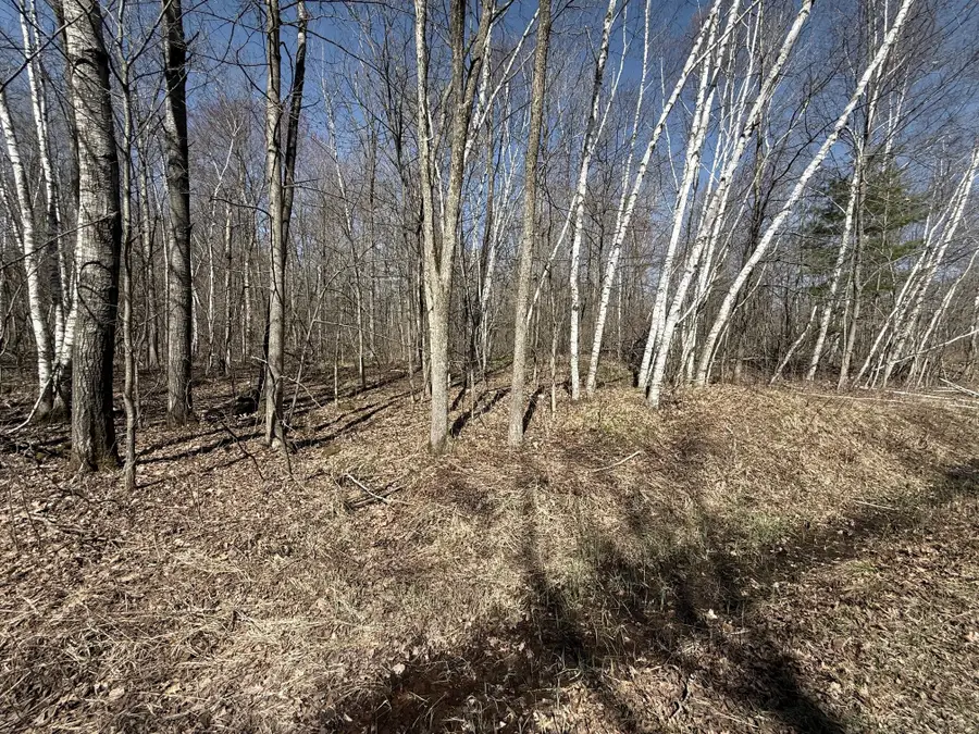 Lot 3 175th, Jim Falls, WI 54748 - #3