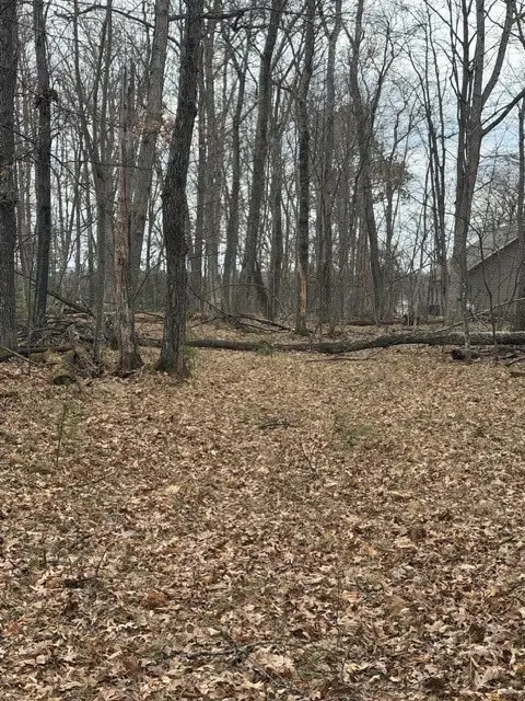 29936 Arbutus Drive, Danbury, WI 54830 - #3