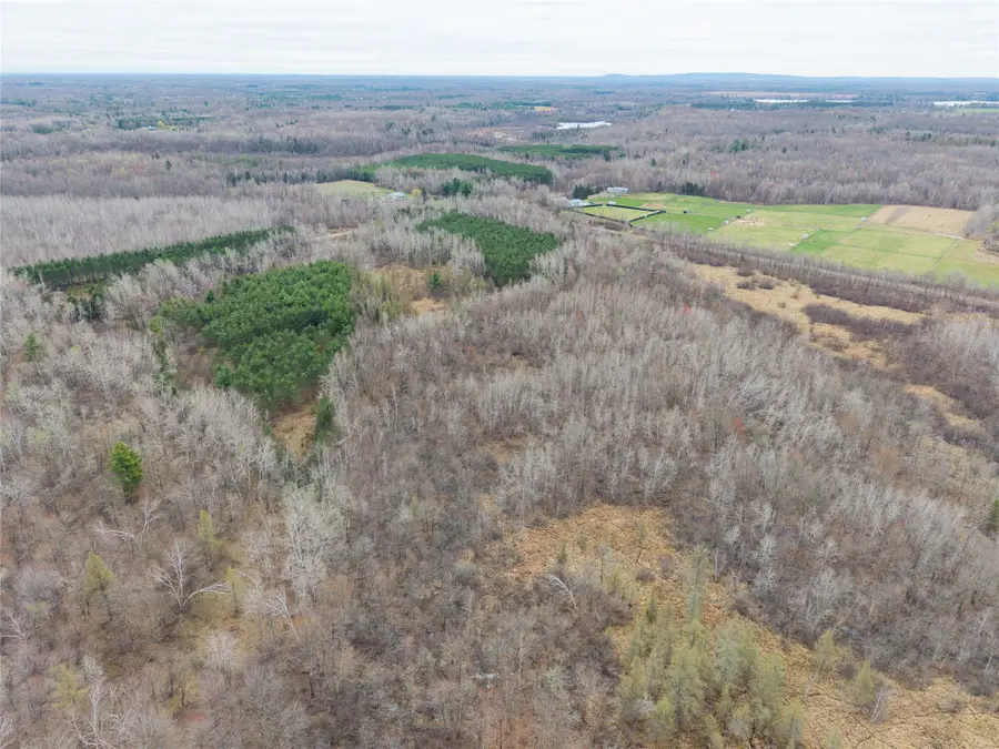 40 Acres Adams & Jones Road, Bruce, WI 54819 - #3