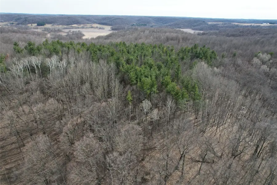 0 3rd Avenue E, Knapp, WI 54749 - #3