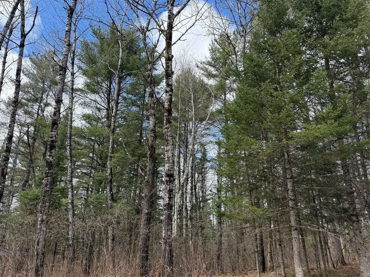 Lot 98 Balsam Court, Cable, WI 54821 - #1