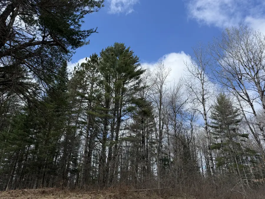 Lot 98 Balsam Court, Cable, WI 54821 - #2
