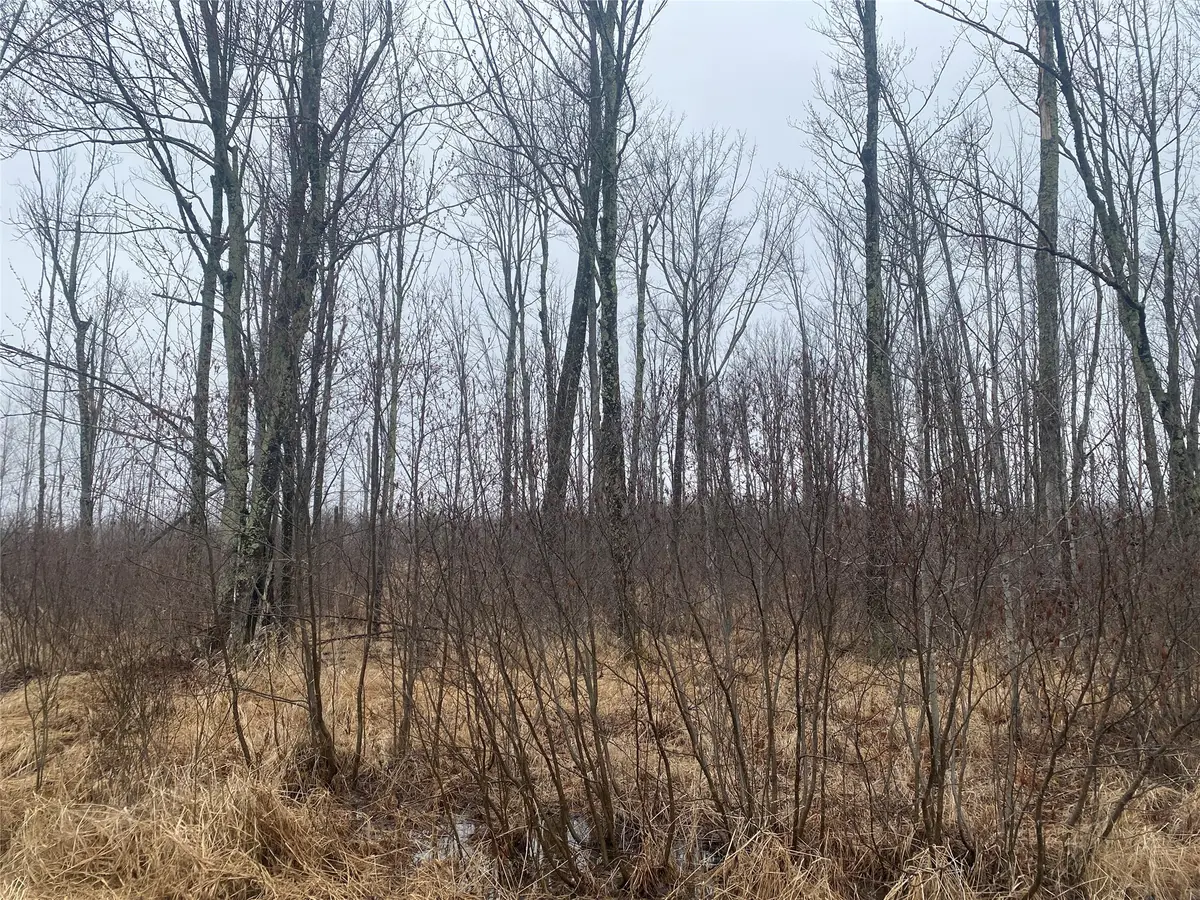 ON Shauger Road, Ogema, WI 54459 - #1