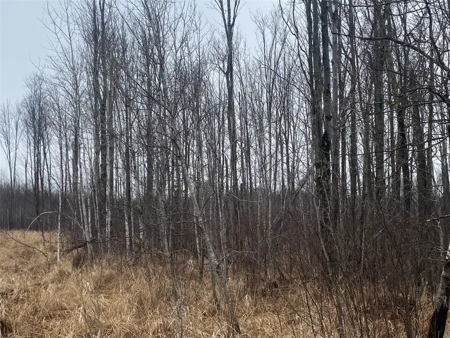 ON Shauger Road, Ogema, WI 54459 - #3