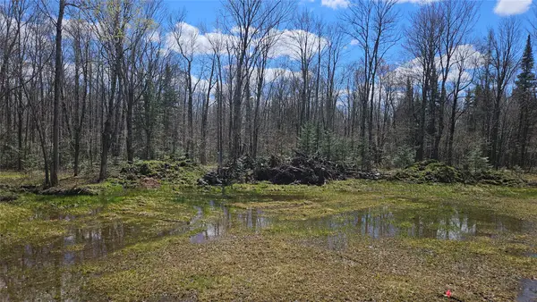 12331 W Delap Lane, Couderay, WI 54828
