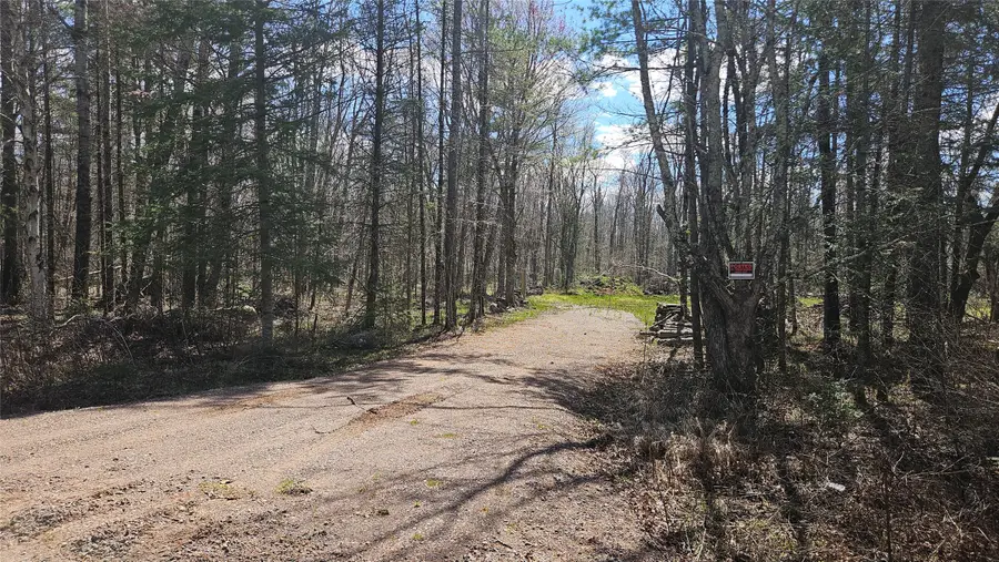 12331 W Delap Lane, Couderay, WI 54828 - #2