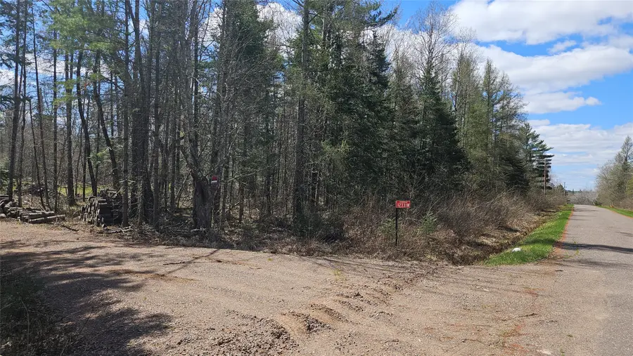 12331 W Delap Lane, Couderay, WI 54828 - #3