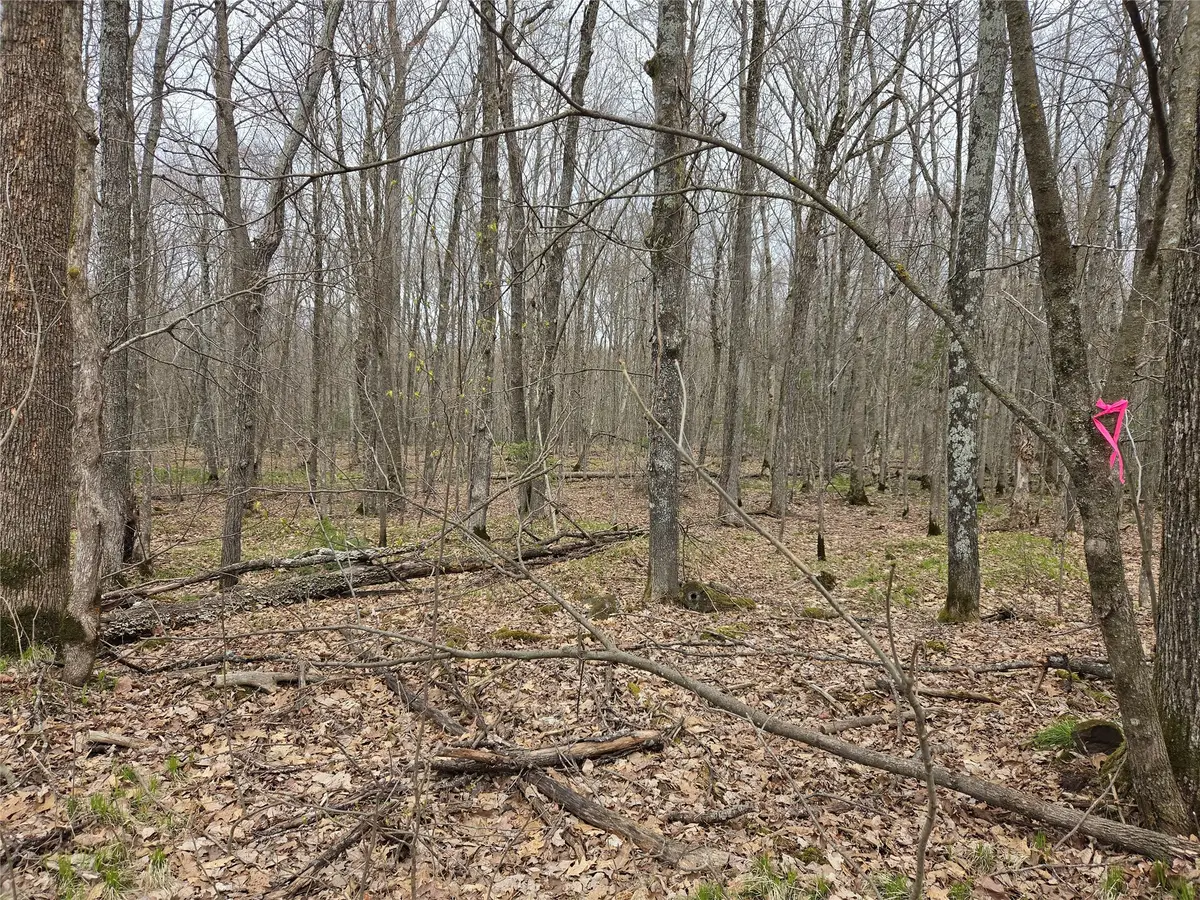 12XXX N Olson Road, Hayward, WI 54843 - #1