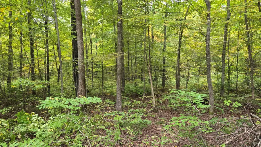 Lot 2 Lakeview Ln., Exeland, WI 54835 - #2