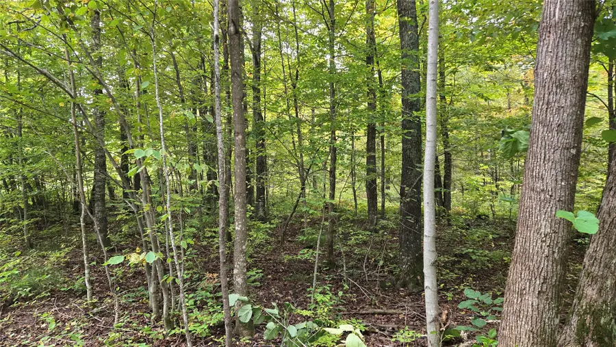 Lot 2 Lakeview Ln., Exeland, WI 54835 - #3
