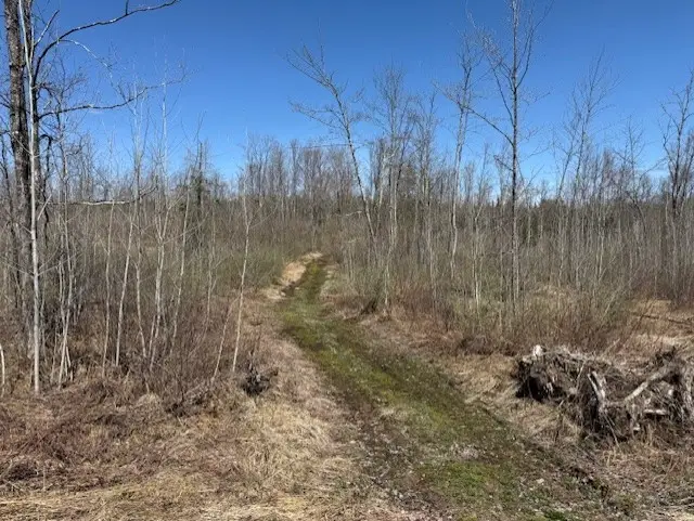 4819N Horse Creek Trail, Ojibwa, WI 54862 - #1