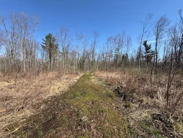 4819N Horse Creek Trail, Ojibwa, WI 54862 - #2