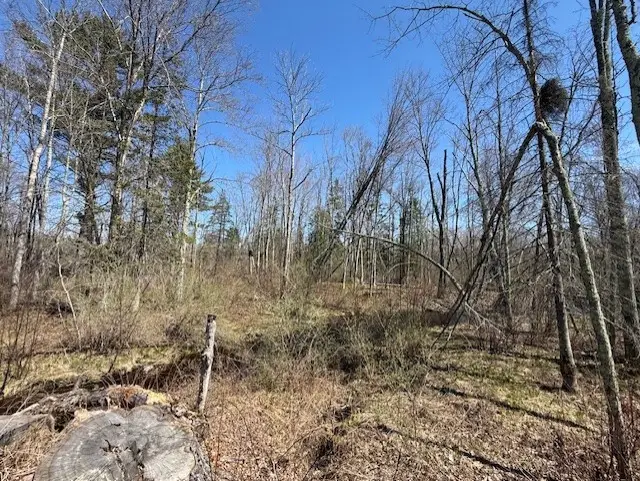 4819N Horse Creek Trail, Ojibwa, WI 54862 - #3
