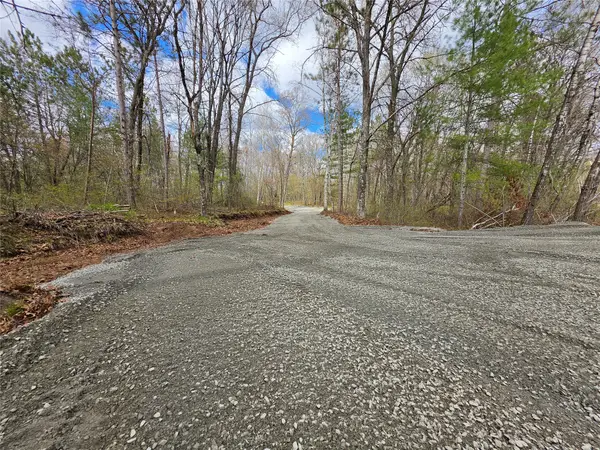 27796 295th Ave Lot 17 Avenue, Holcombe, WI 54745